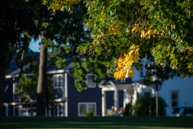 Fall colors appear